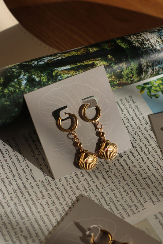 Sea shell Earrings